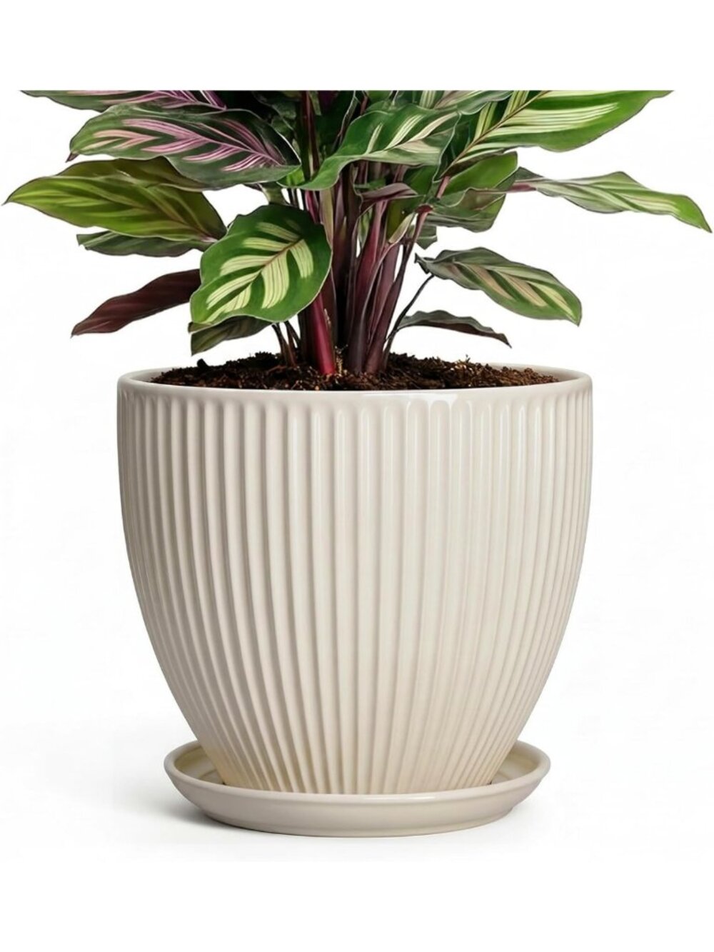 6 Inch Ceramic Planter Pot with Drainage & Saucer - Modern Indoor Decor, Gift